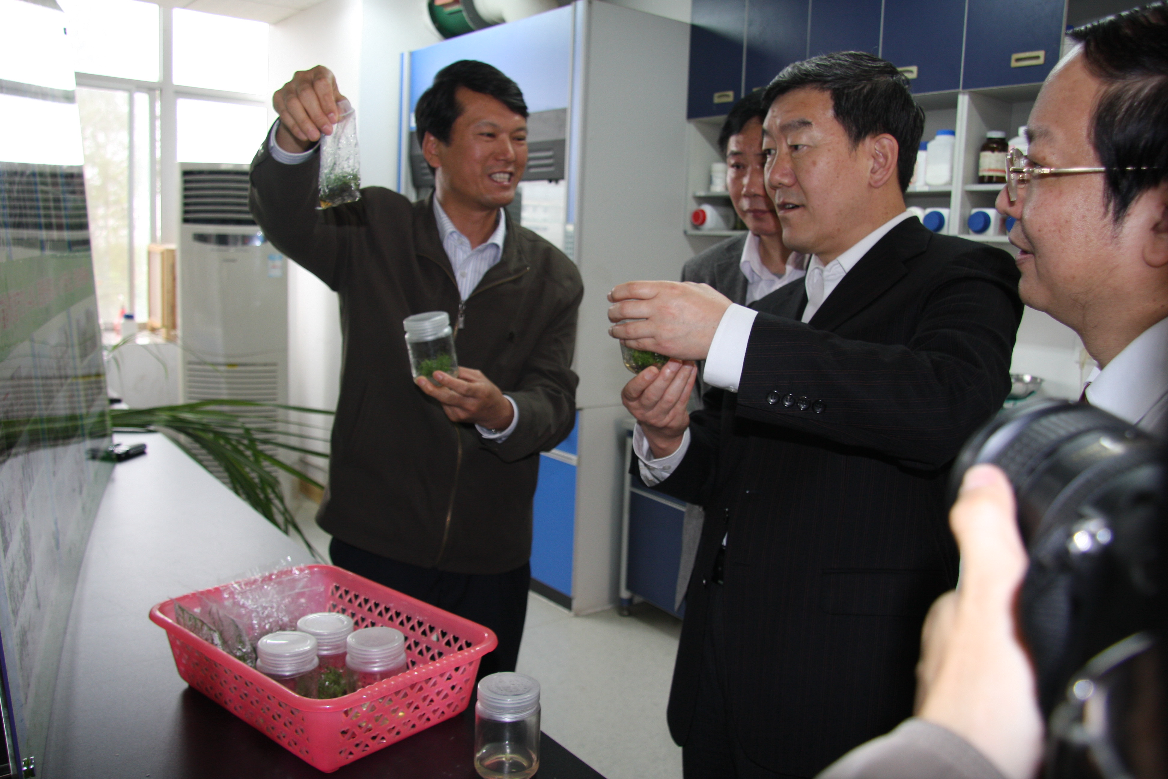 杨本鹏研究员向农业部副部长牛盾介绍甘蔗脱毒健康种苗.jpg