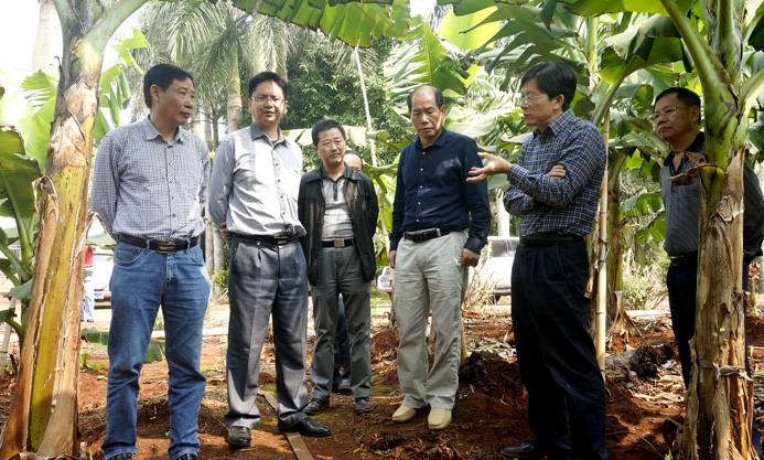 参观香蕉枯萎病防控示范基地1.jpg