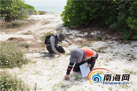 http://www.hinews.cn/news/pic/003/202/296/00320229660_85912545.jpg