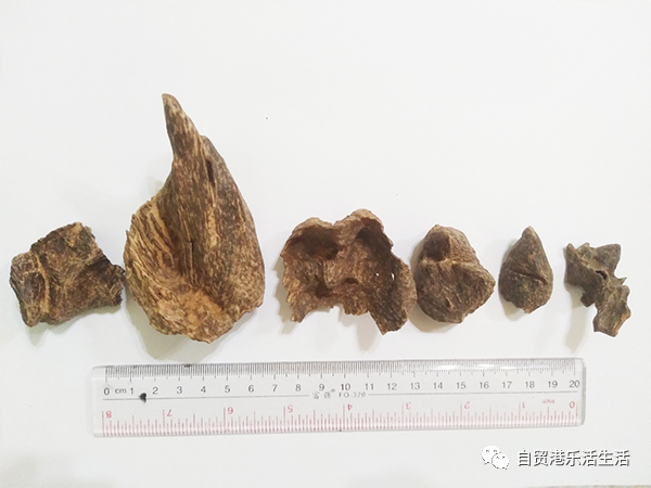 微信图片_20201201103334.png