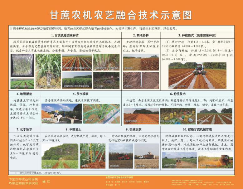 甘蔗农机农艺融合技术