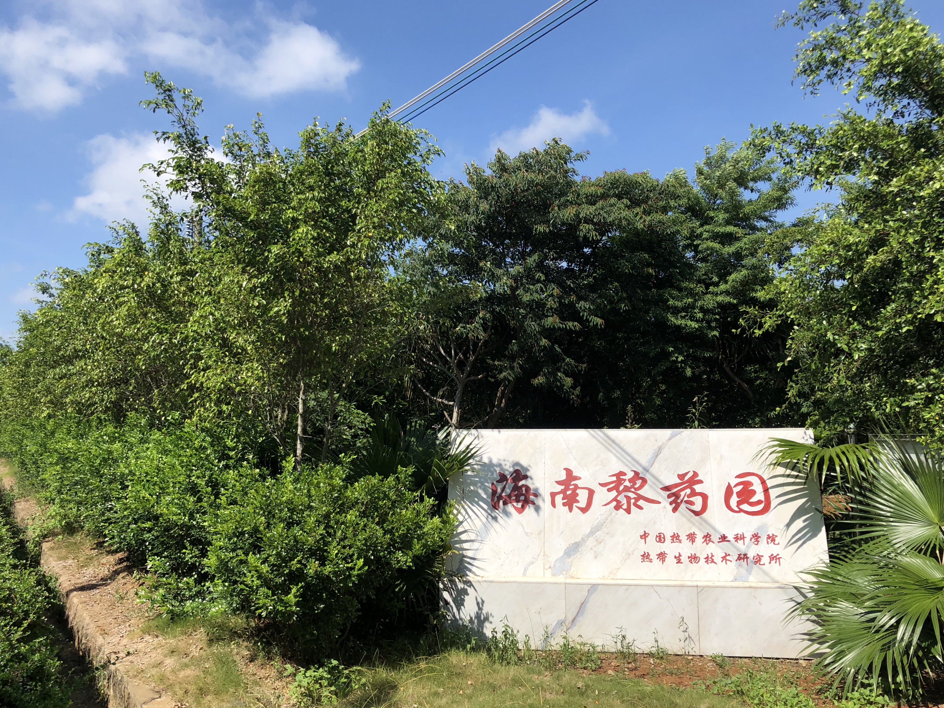 海南黎药园