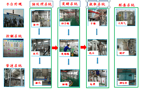 热带微生物发酵工程中试平台